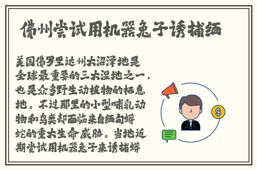 坤巴钻小洞