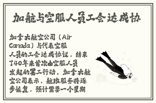 小仙女们的嫩白bb