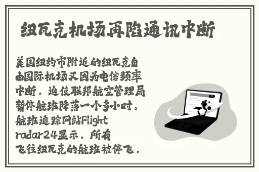 妻为上动漫全集在线观看